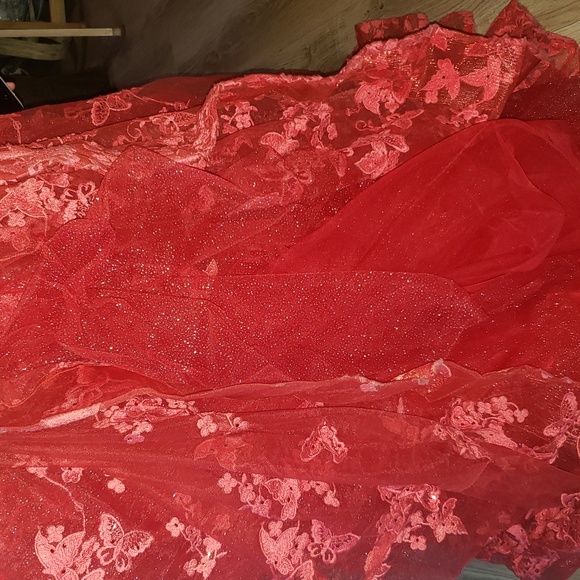 Elegant Red Floral Ball Gown - Picture 12 of 15